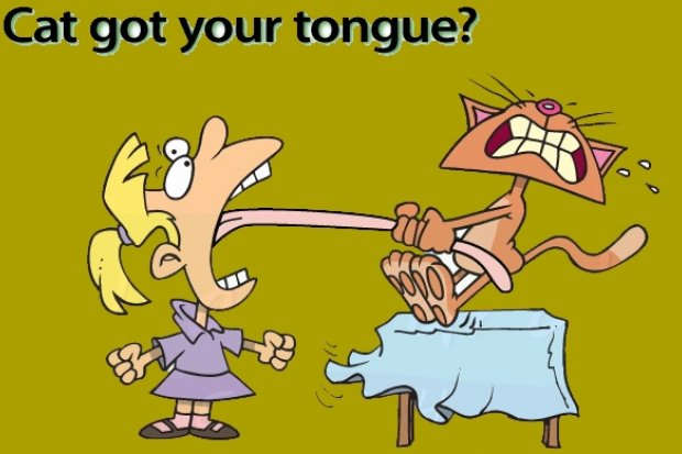 It goes without saying: трудности перевода английской фразеологии